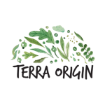 Terra Origin